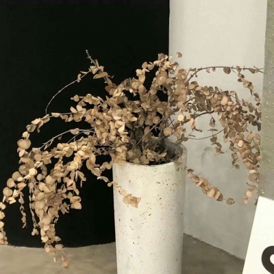 兽设比例设计入门FurryQQ群